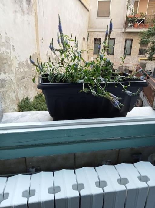 Il Grande Blu Διαμέρισμα Μιλάνο Εξωτερικό φωτογραφία